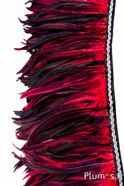 Collo di gallo bordo argentato - lungh. piume 25-32 cm - nero-carminio